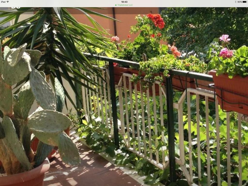 Hotel Mirella Rimini Exterior photo