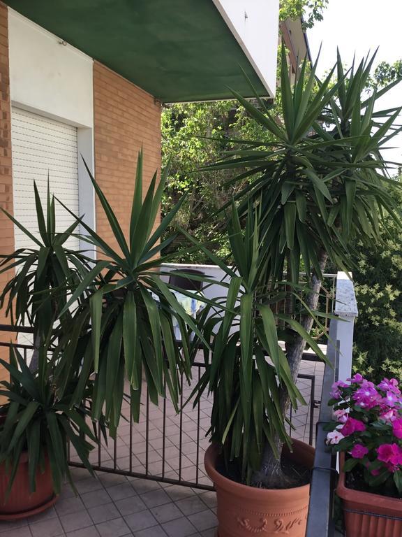 Hotel Mirella Rimini Exterior photo